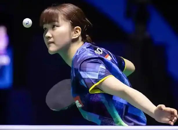 灰熊依靠韧 灰熊依靠韧